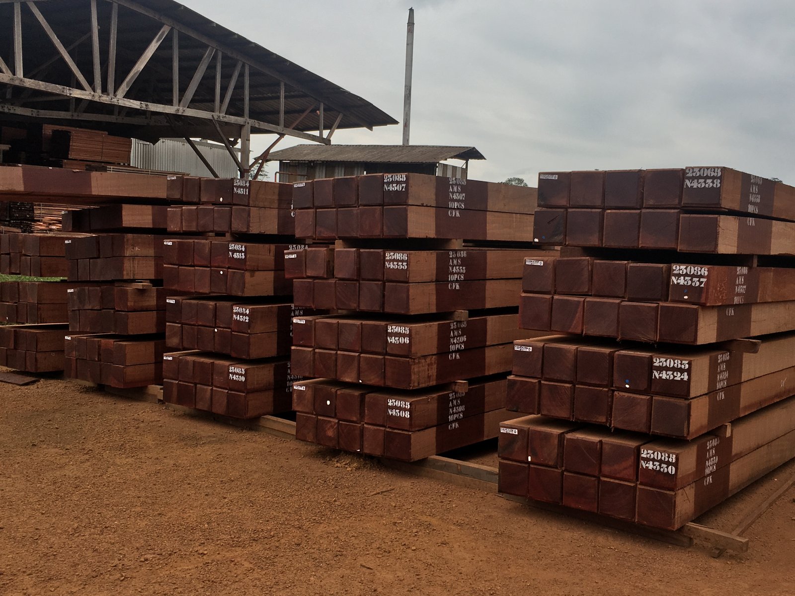 Équipe spécialisée - Professionnels expérimentés